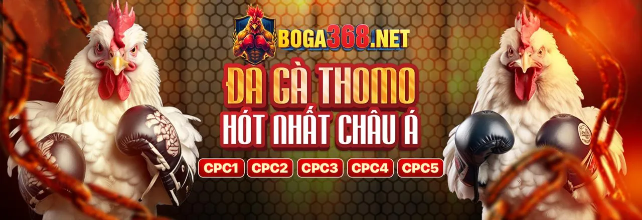 Ứng dụng 8swin link vào trên điện thoại